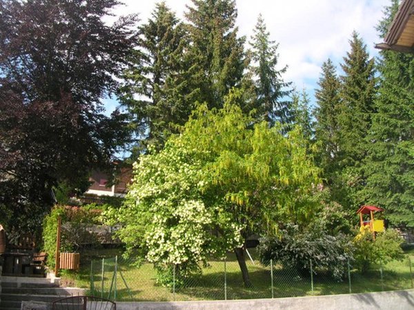 Foto del giardino Folgaria