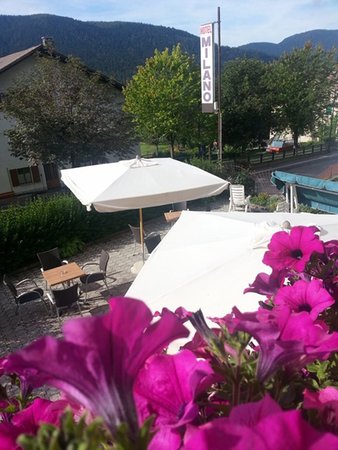Foto del giardino Folgaria