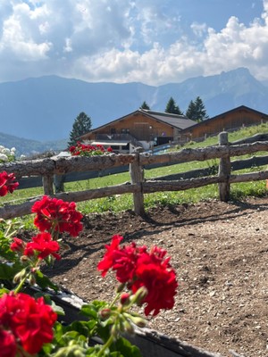 Photo exteriors Farm Soto al Croz