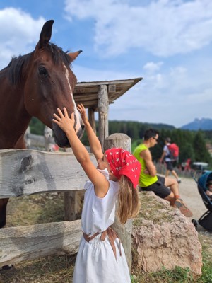 Foto degli animali
