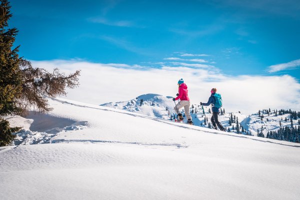 Attività invernali Alpe Cimbra - Folgaria e dintorni