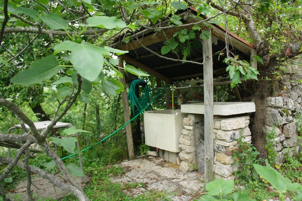 Photo of the garden Mezzomonte (Folgaria)