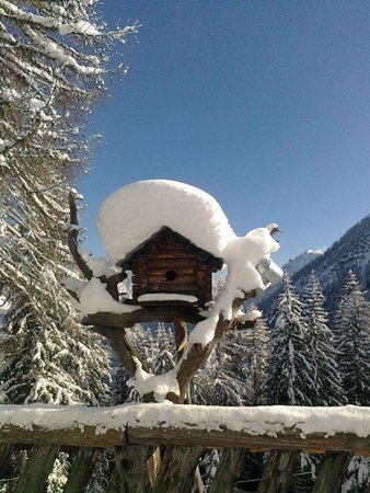 Gallery inverno