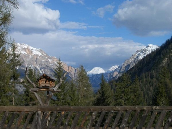 Vista dalla struttura