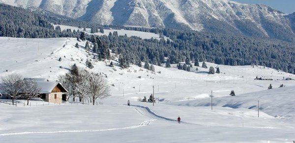 Winter presentation photo Cross-country ski centre Millegrobbe