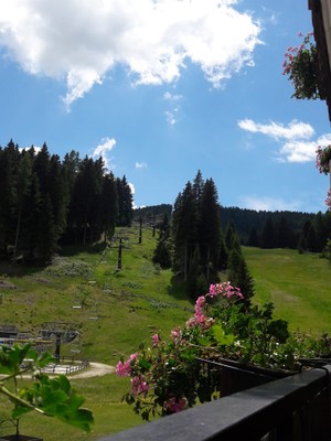 Vista dalla struttura