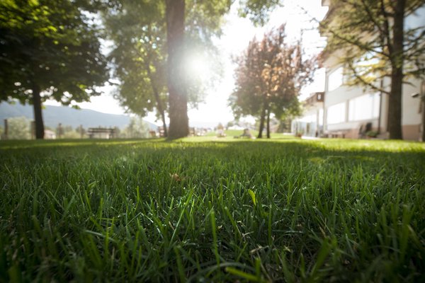 Foto vom Garten Costa (Folgaria)