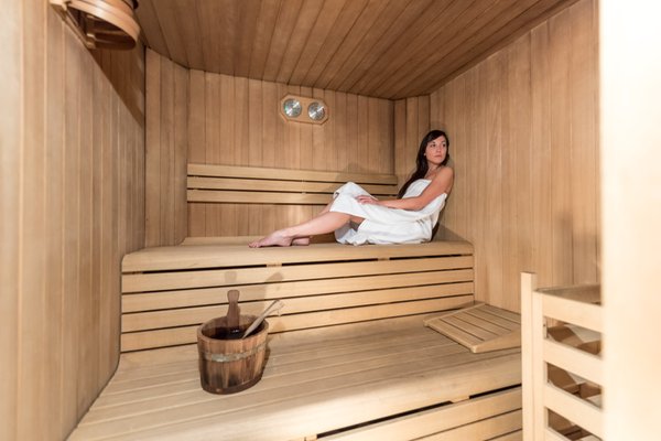 Photo of the sauna Pellizzano