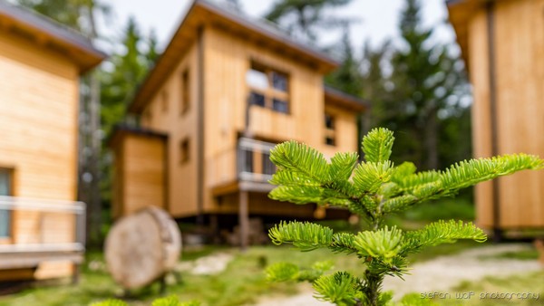 Photo exteriors Forest Chalet Holidays FELIZITAS