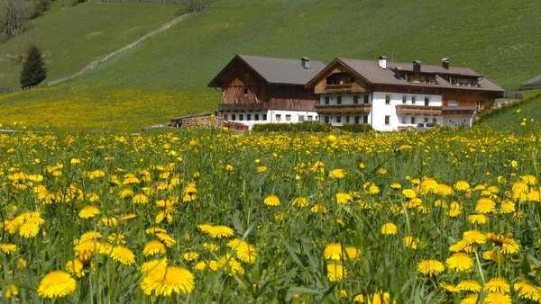 Photo exteriors in summer Parggenhof