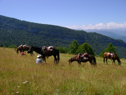 Activities Trento and surroundings