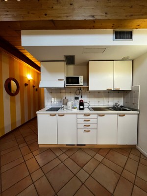 Photo of the kitchen America Apartments