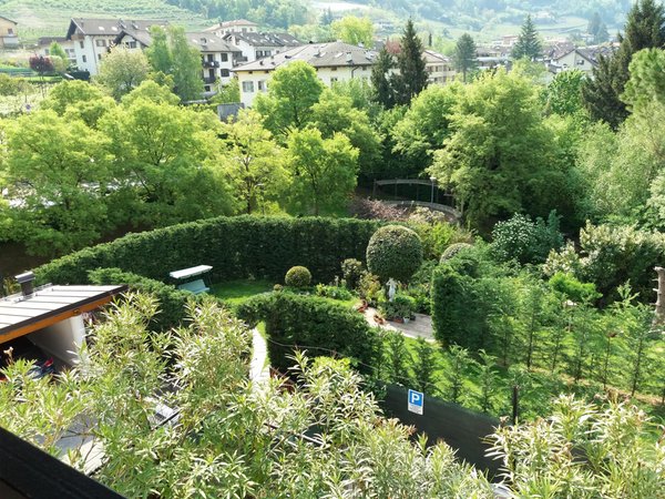 Foto vom Garten Trient