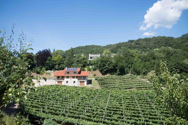 La posizione Camere in agriturismo Casteller Trento