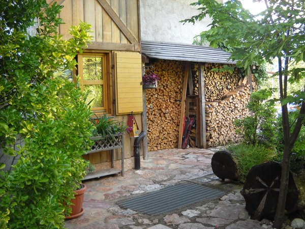 Foto esterno in estate Artemia