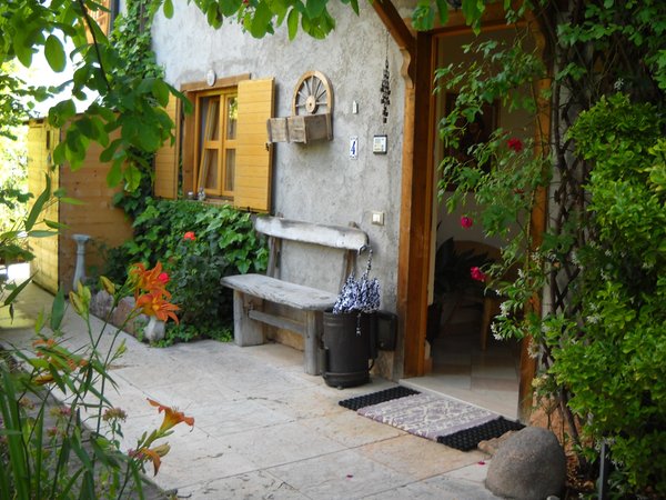Foto esterno in estate Artemia