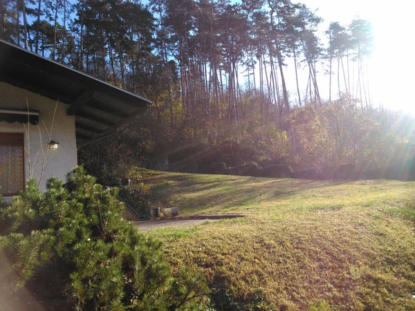 Foto esterno in estate Marzola