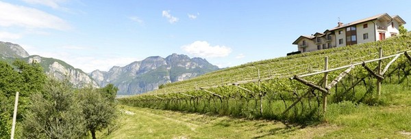 Position Farm Maso Grener Lavis (Piana Rotaliana Königsberg)