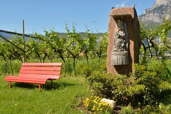Photo of the garden Lavis (Piana Rotaliana Königsberg)