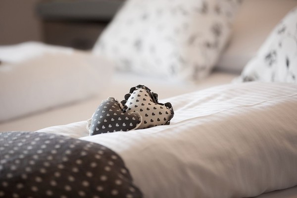 Photo of the room Hotel Scoiattolo