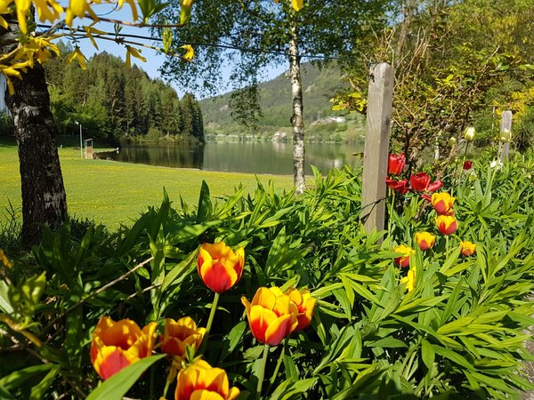 Foto del giardino Bedollo di Piné