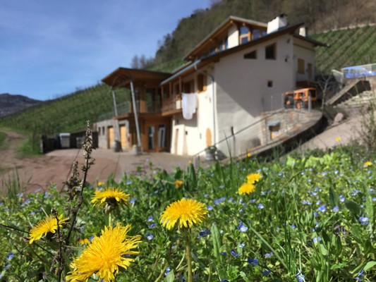 Photo exteriors Farmhouse apartments Maso Besleri