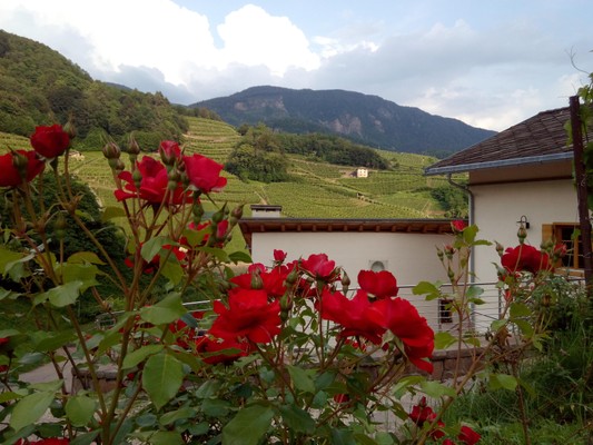 Photo exteriors Farmhouse apartments Maso Besleri