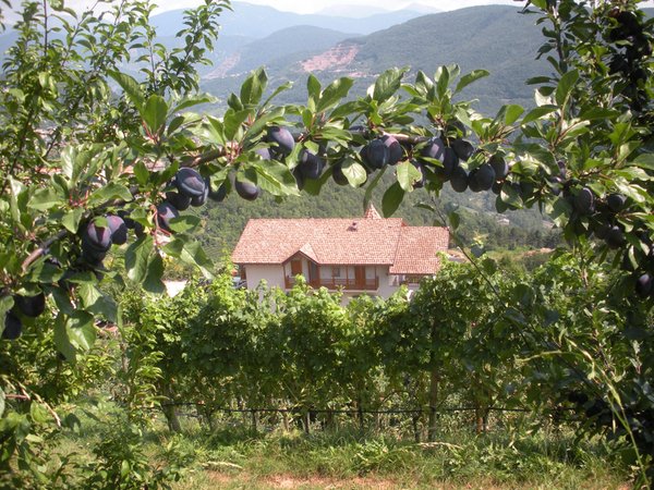 Lage B&B auf dem Bauernhof Maso Pomarolli Giovo (Valle di Cembra)