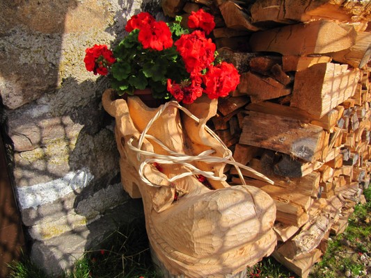 Photo of the garden Sover (Valle di Cembra)