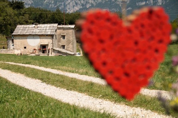 Foto esterno in estate Malga Riondera