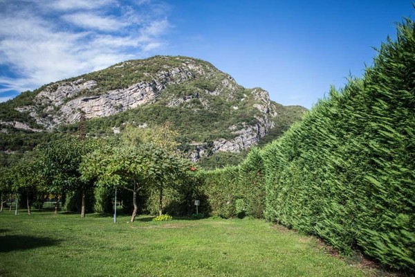 Photo exteriors Campsite L'Albero delle Mele