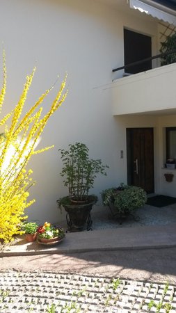 Foto esterno in estate La Betulla