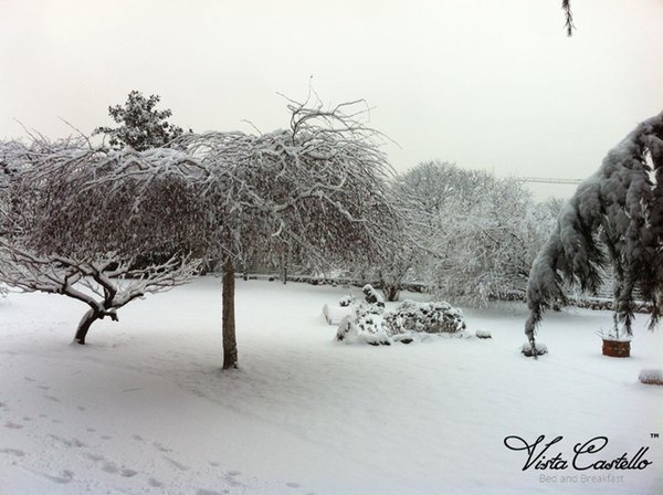 Gallery inverno