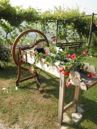 Foto del giardino Villa Lagarina