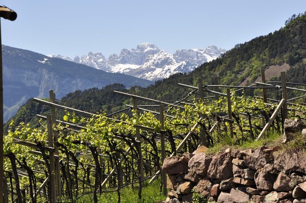 Photo gallery Lisignago (Valle di Cembra)