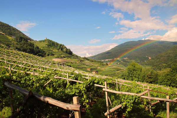 Photo gallery Lisignago (Valle di Cembra)