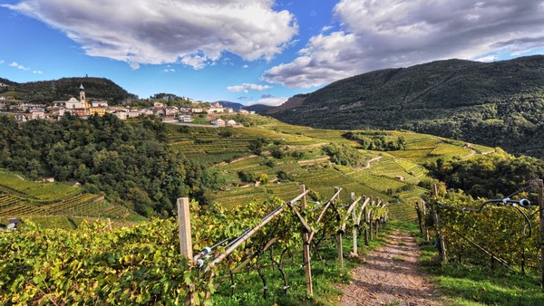 Photo gallery Lisignago (Valle di Cembra)