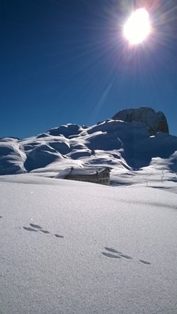 Photo gallery winter