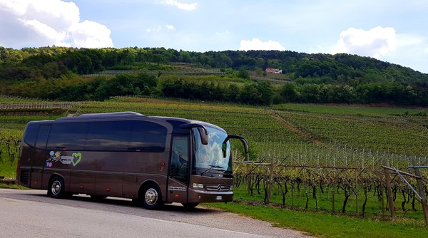 Activities Trento and surroundings
