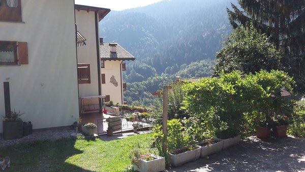 Foto esterno in estate Casarenata