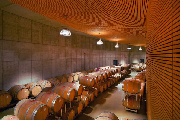 Wine cellar Lavis (Piana Rotaliana Königsberg) Maso Poli