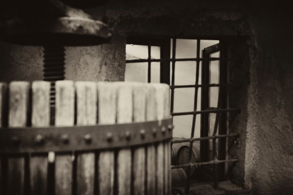 Foto di alcuni dettagli Vignaiolo Fanti