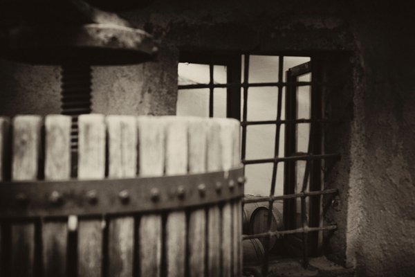 Präsentationsbild Weinkellerei Vignaiolo Fanti