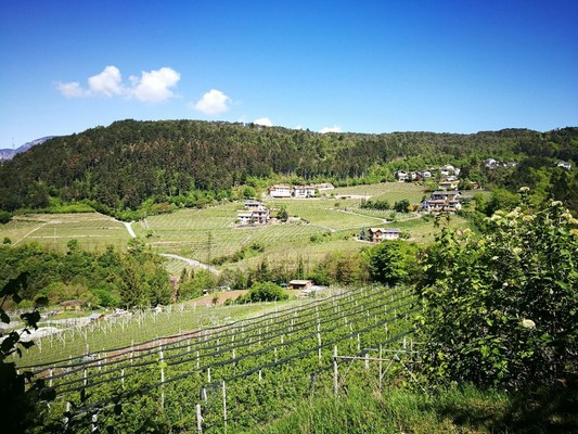 Bildergalerie