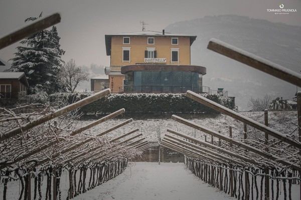 Photo exteriors Farm Albino Martinelli