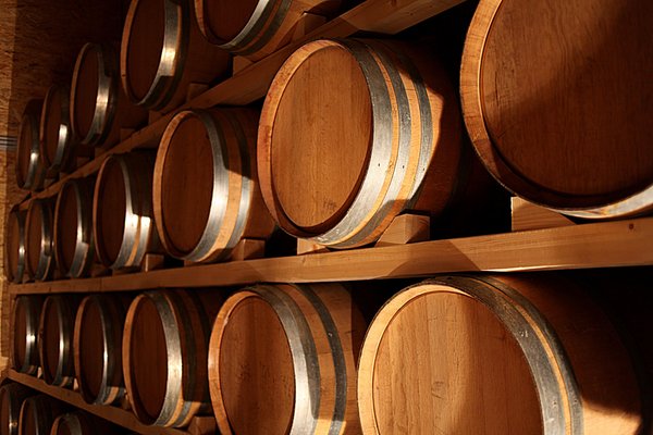 La cantina dei vini Mezzocorona Distillerie Trentine