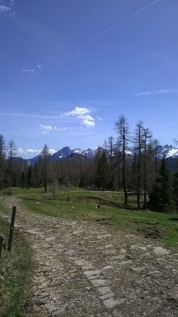 Bildergalerie Sommer
