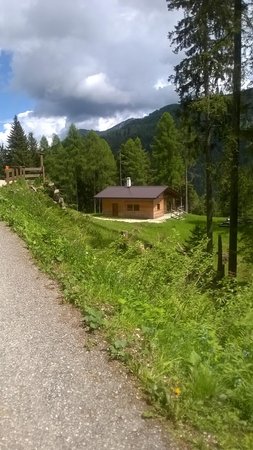 Bildergalerie Sommer