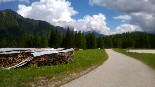 Bildergalerie Sommer