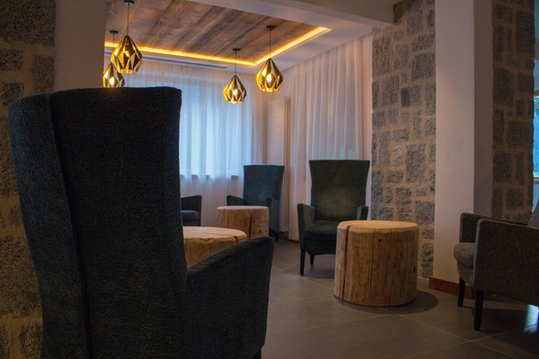 Le parti comuni Edelweiss Alpine Nature Hotel